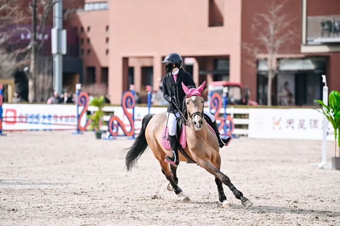 半岛体育官网-联赛专访｜吴璨彤：“我愿意永远相信我的战友，永远跟牠们并肩作战”|马术|搭档|教练|比赛|俱乐部联赛_新浪体育_新浪新闻