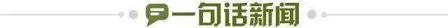 半岛体育APP-【早报】要多久才能看懂裁判？